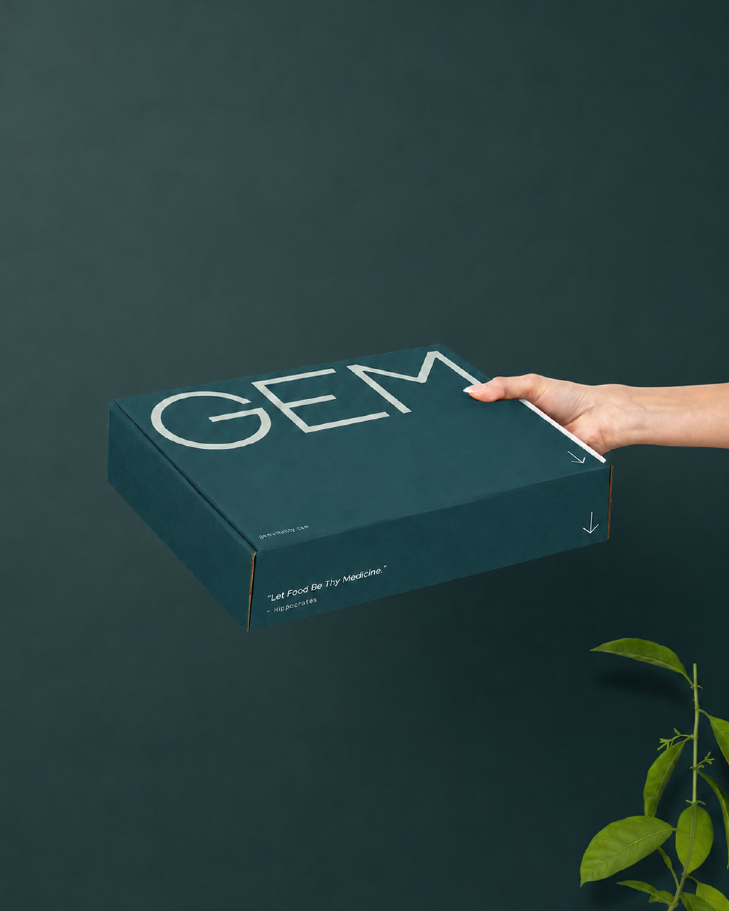 GEM Packaging